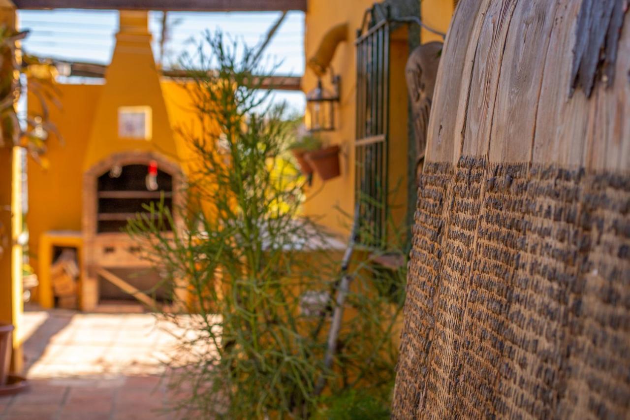 Hanami Finca Cumbres Borrascosas Estepona Kültér fotó